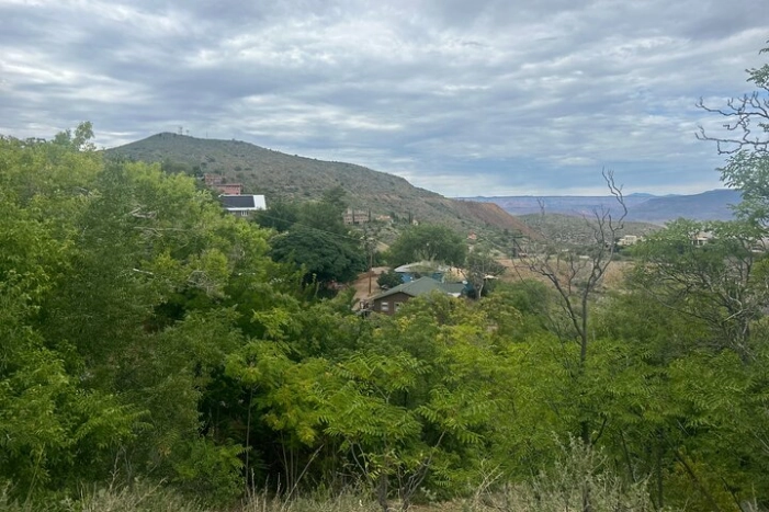 Image 32