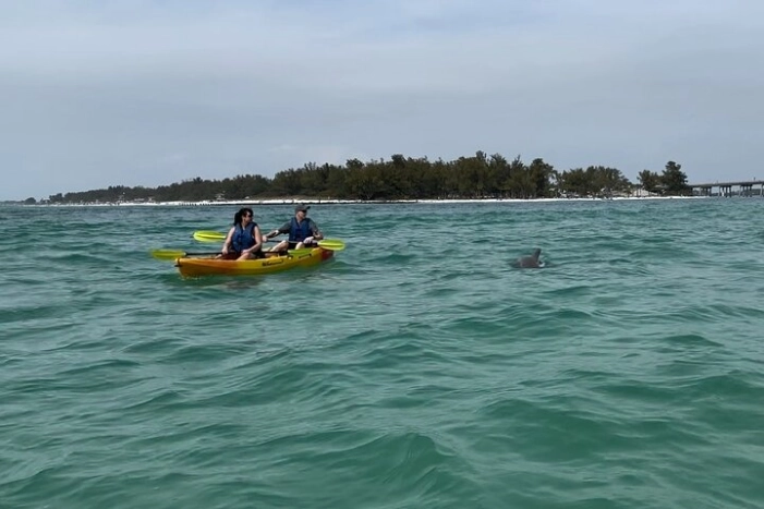 Image 18