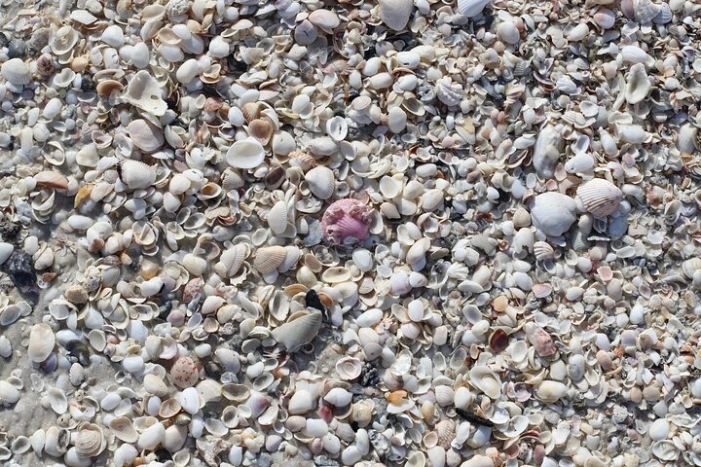 Image 38
