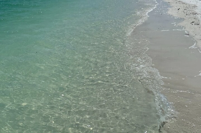 Image 35