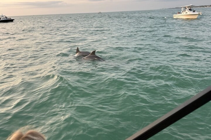 Image 33