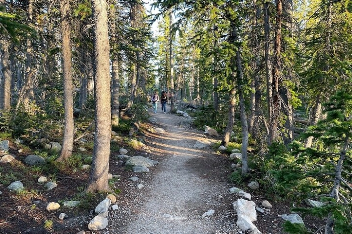 Image 15