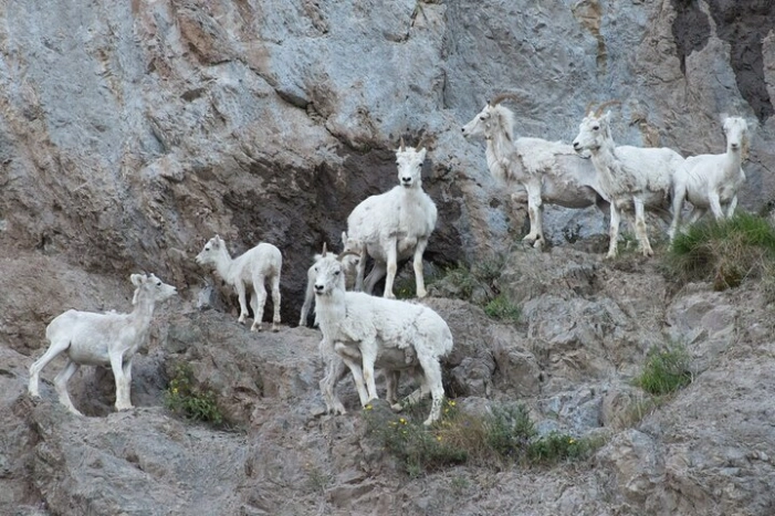 Image 7