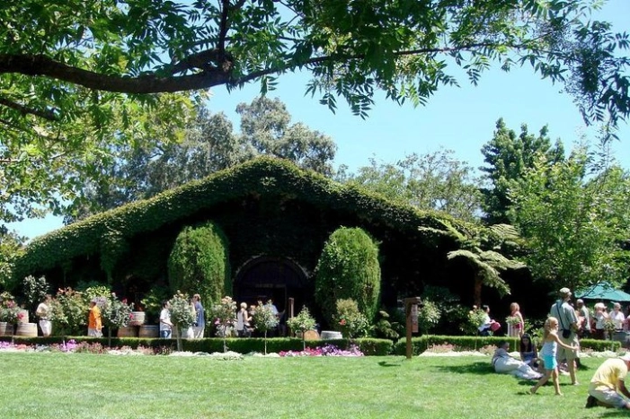 Image 12