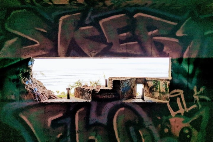 Image 7