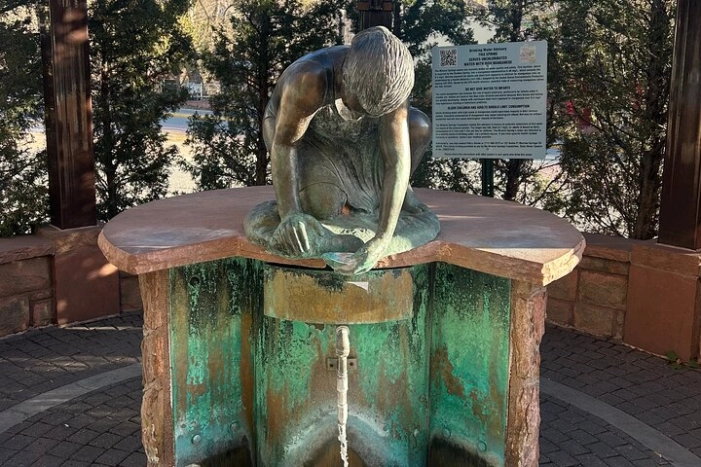 Image 6