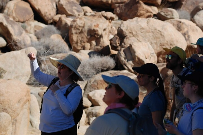 Joshua Tree Natural Wonders Walk: Plants, Animals and Rocks