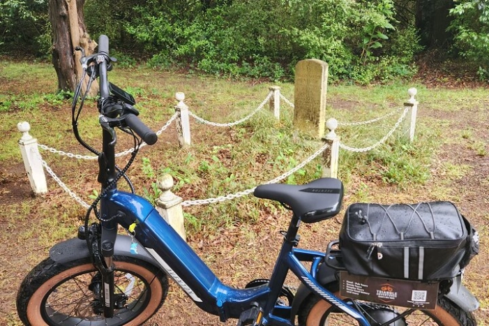 Image 12