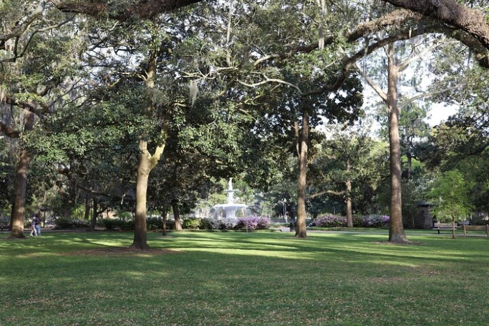 Image 20