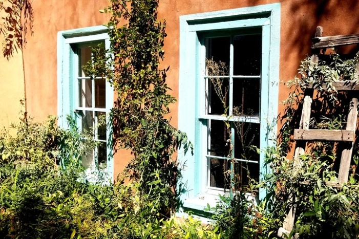 Image 12