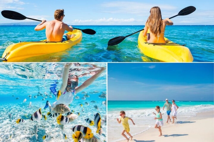 PRIVATE TOUR-Ultimate North Shore Experience