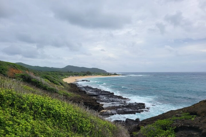 Image 12