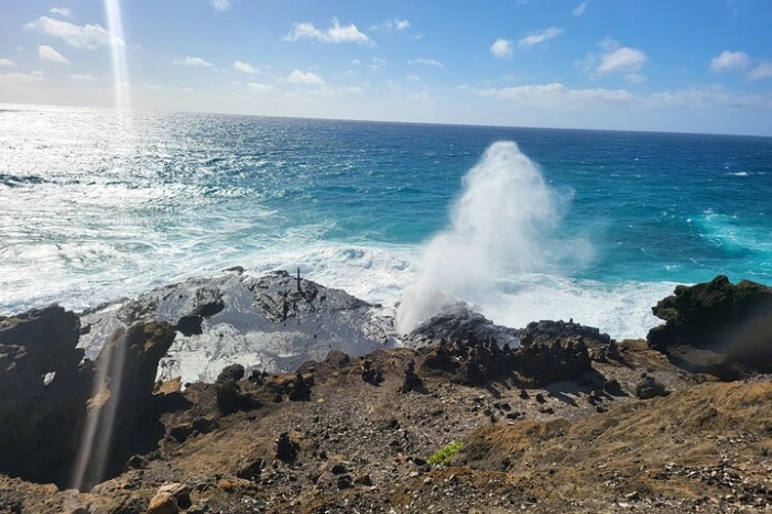 Image 13