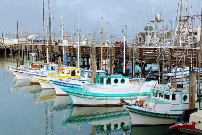 Image 19