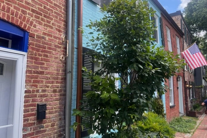 Image 4