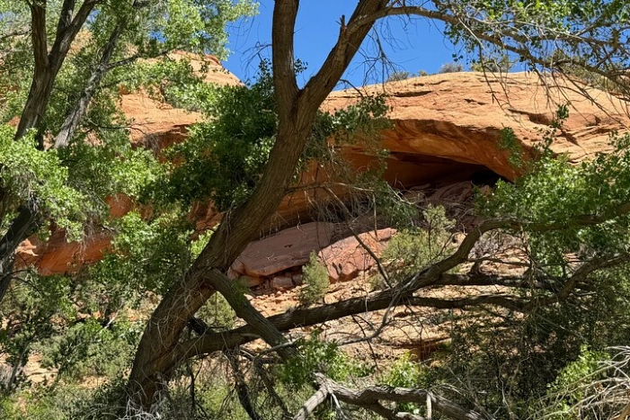 Image 6