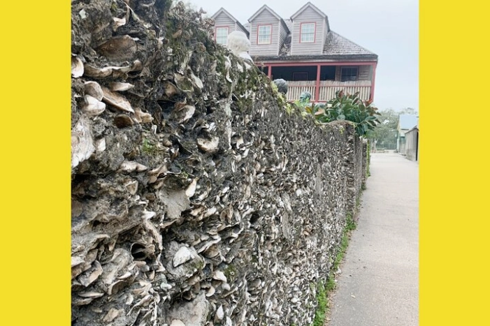 Image 15