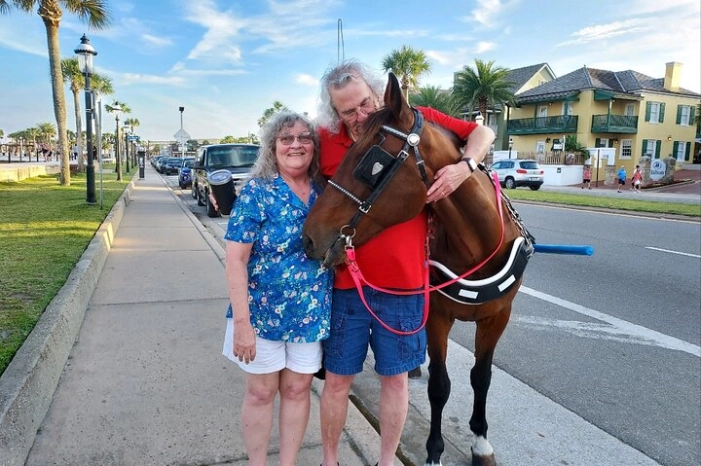 Horse-Drawn Carriage Tour of St Augustine