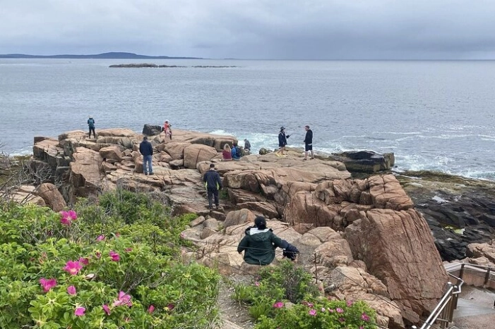 Image 12