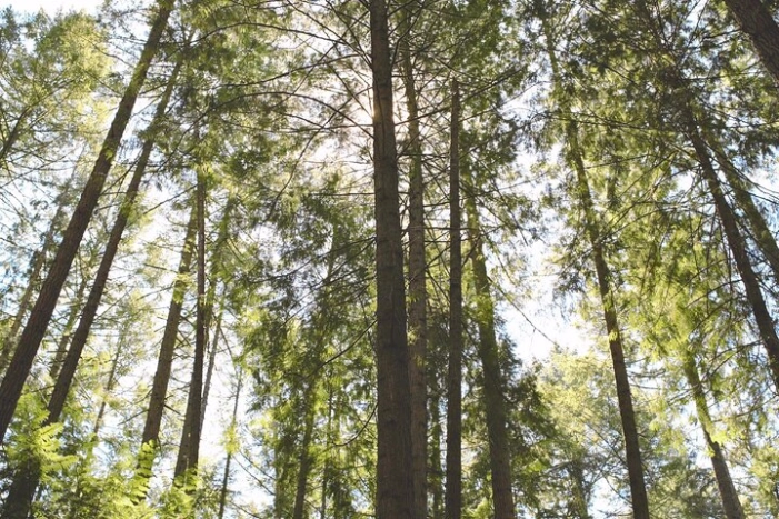 Image 18