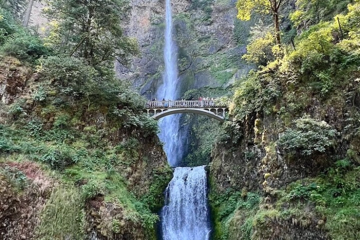 Multnomah Falls and Columbia Gorge Tour From Portland