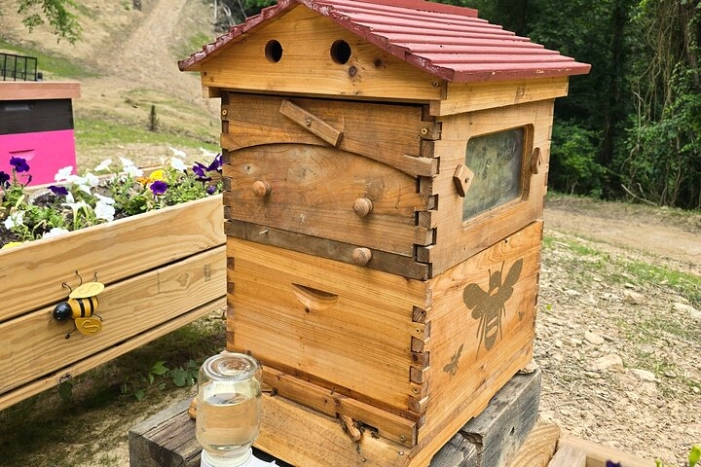 Image 5