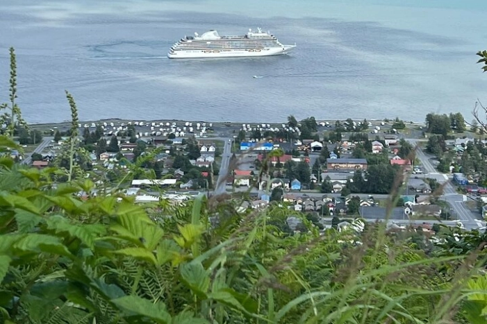 Image 5
