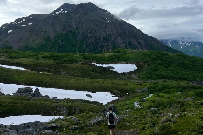 Image 6