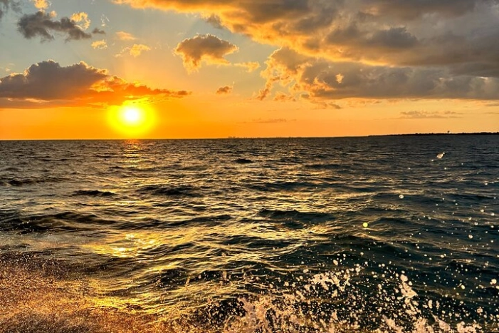 Public Mangrove and Sunset Excursion 