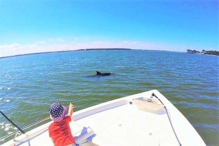 Private Hilton Head Dolphin Tour with Waterfront Dining Stop 