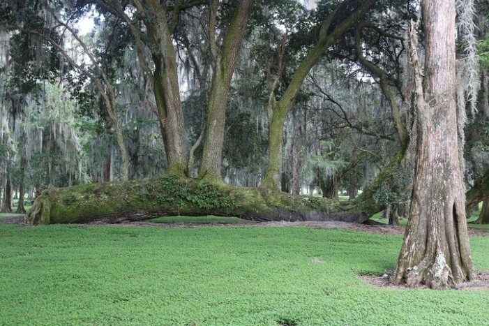 Image 8