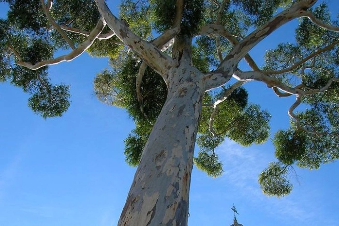 Image 13