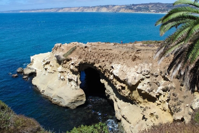 Image 11