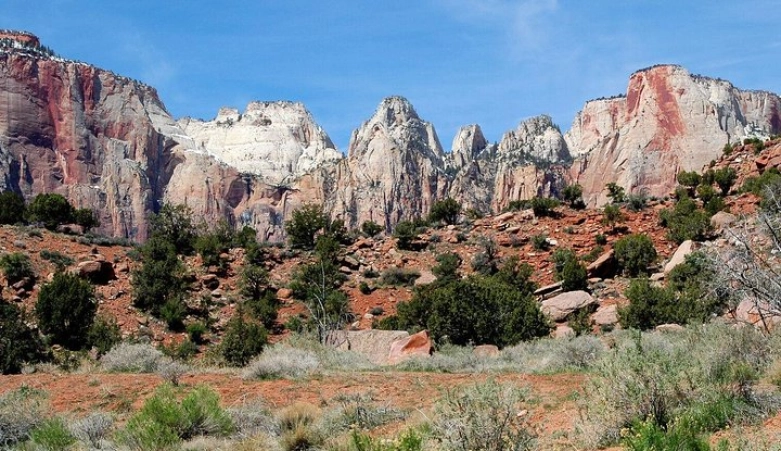 Image 5