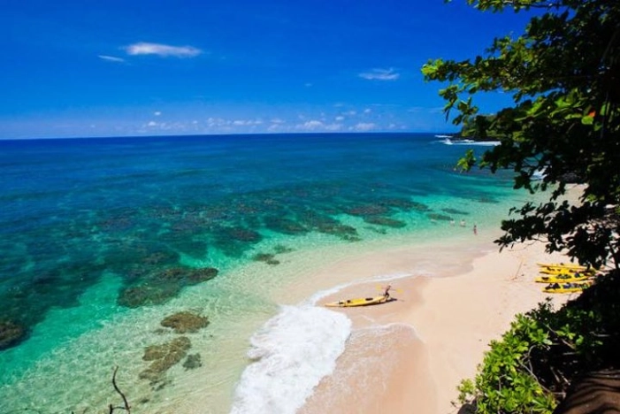 Hanalei River Paddle and Bay Snorkel Tours (LUNCH INCLUDED)