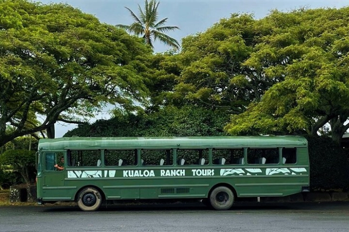 Kualoa Ranch: Movie Sites and Ranch Tour