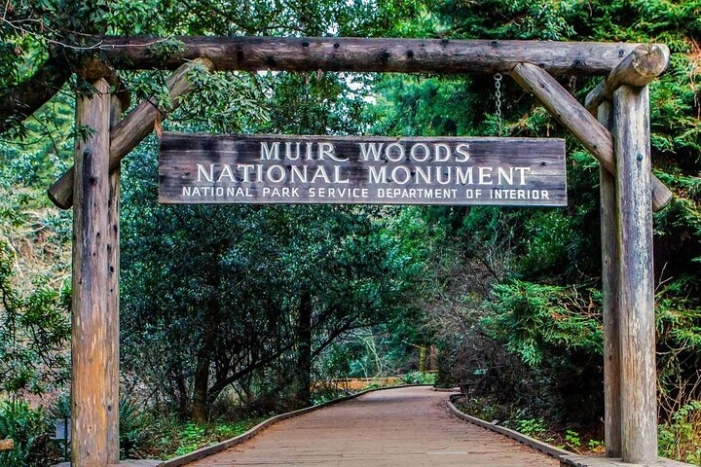 Private Muir Woods, Sausalito, and Marin Headlands Tour