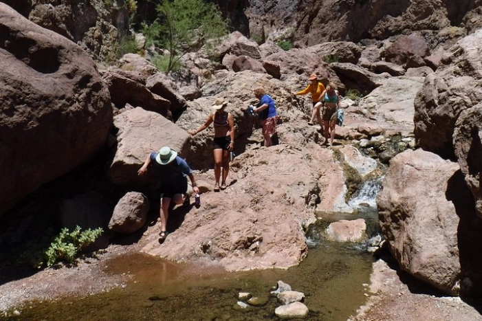 Image 11