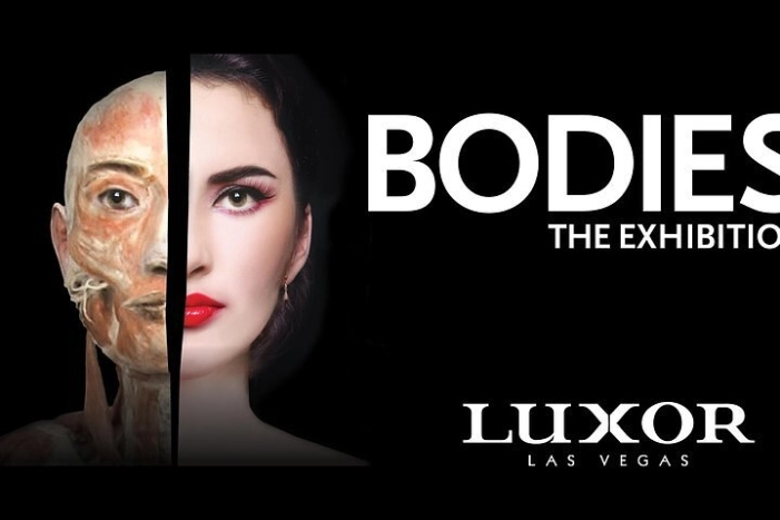 Bodies The Exhibition at the Luxor Hotel and Casino