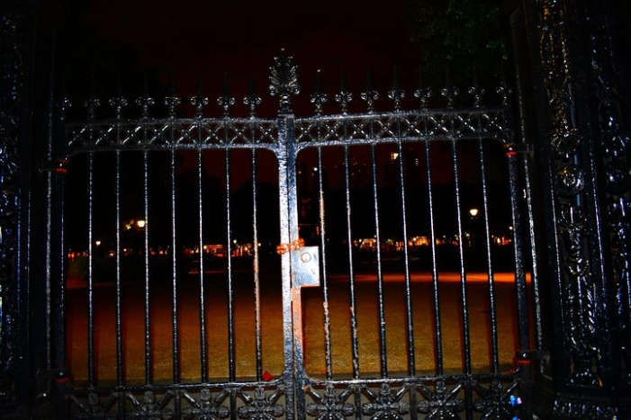 Image 7