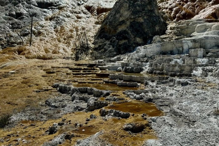 Image 11