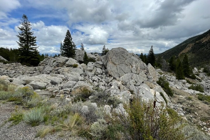 Image 12