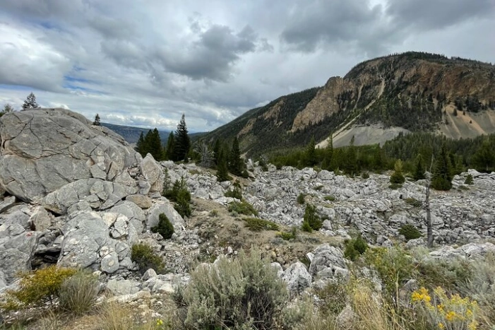 Image 14