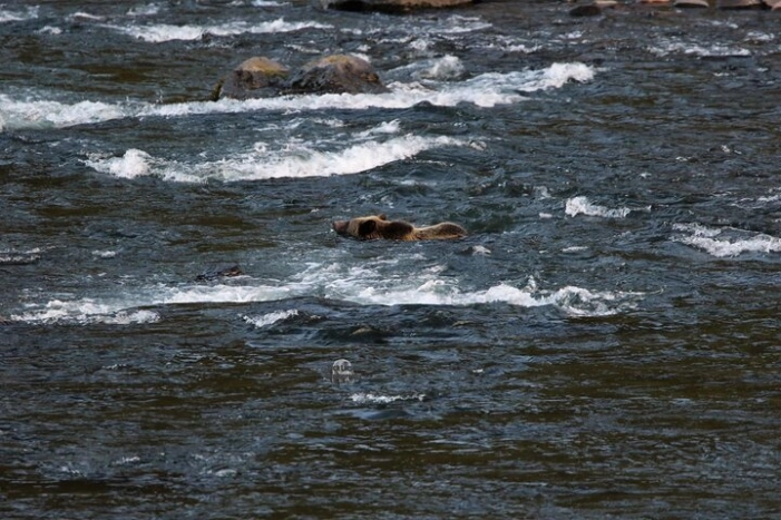 Image 27