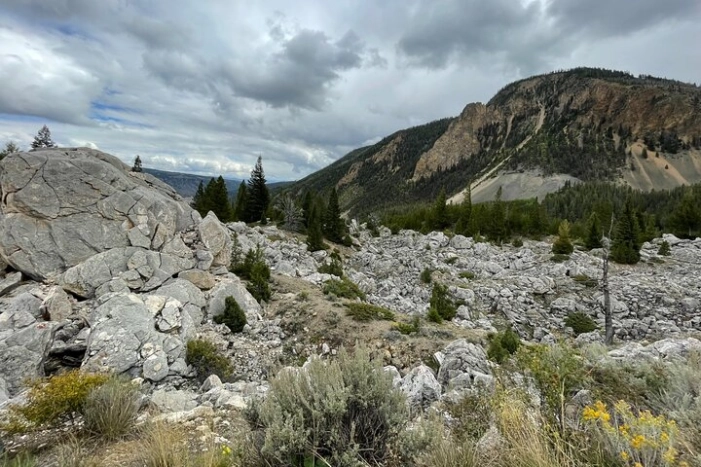 Image 35