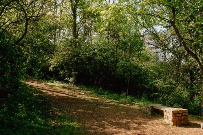 Image 6