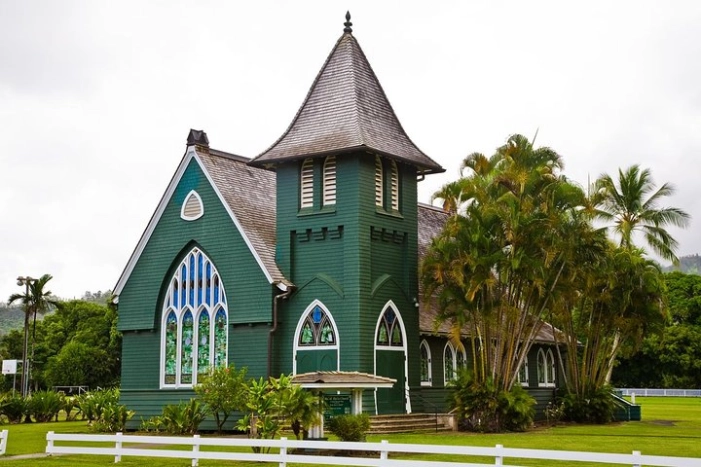Image 7