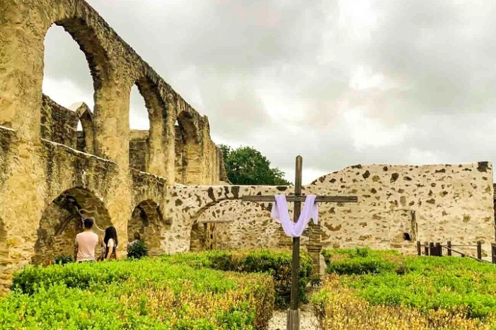 Image 14