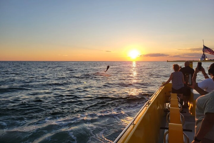 Dolphin and Sunset tour abord the Hydro Rocket