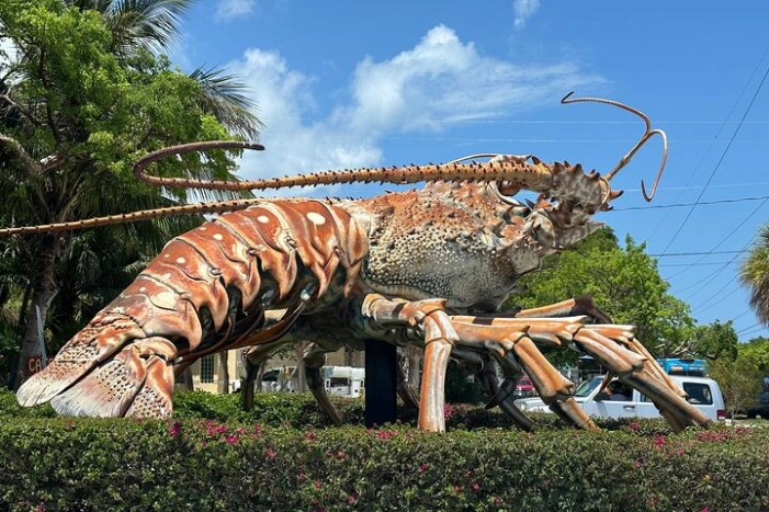 Image 12